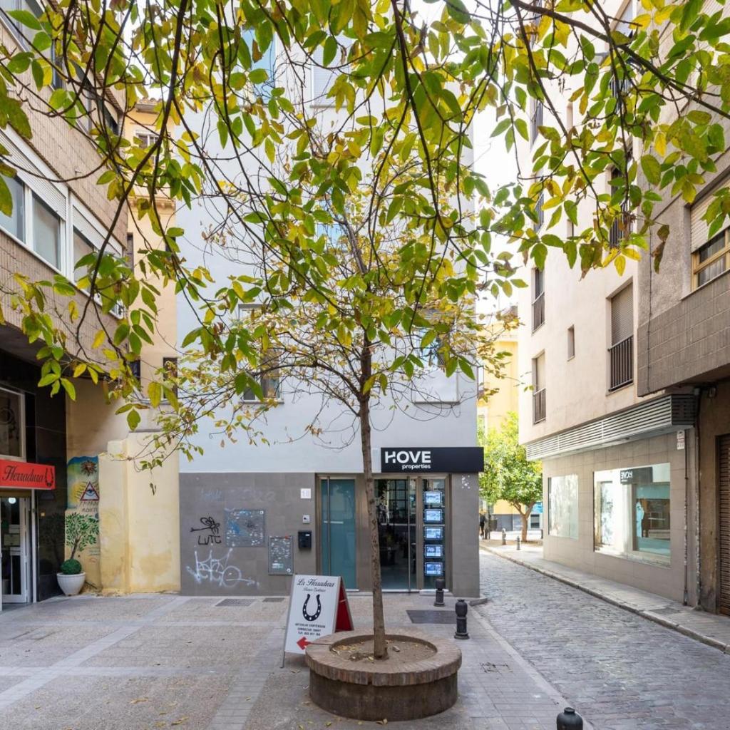 Photograph of ChezmoiHomes San Anton Boutique Terrace