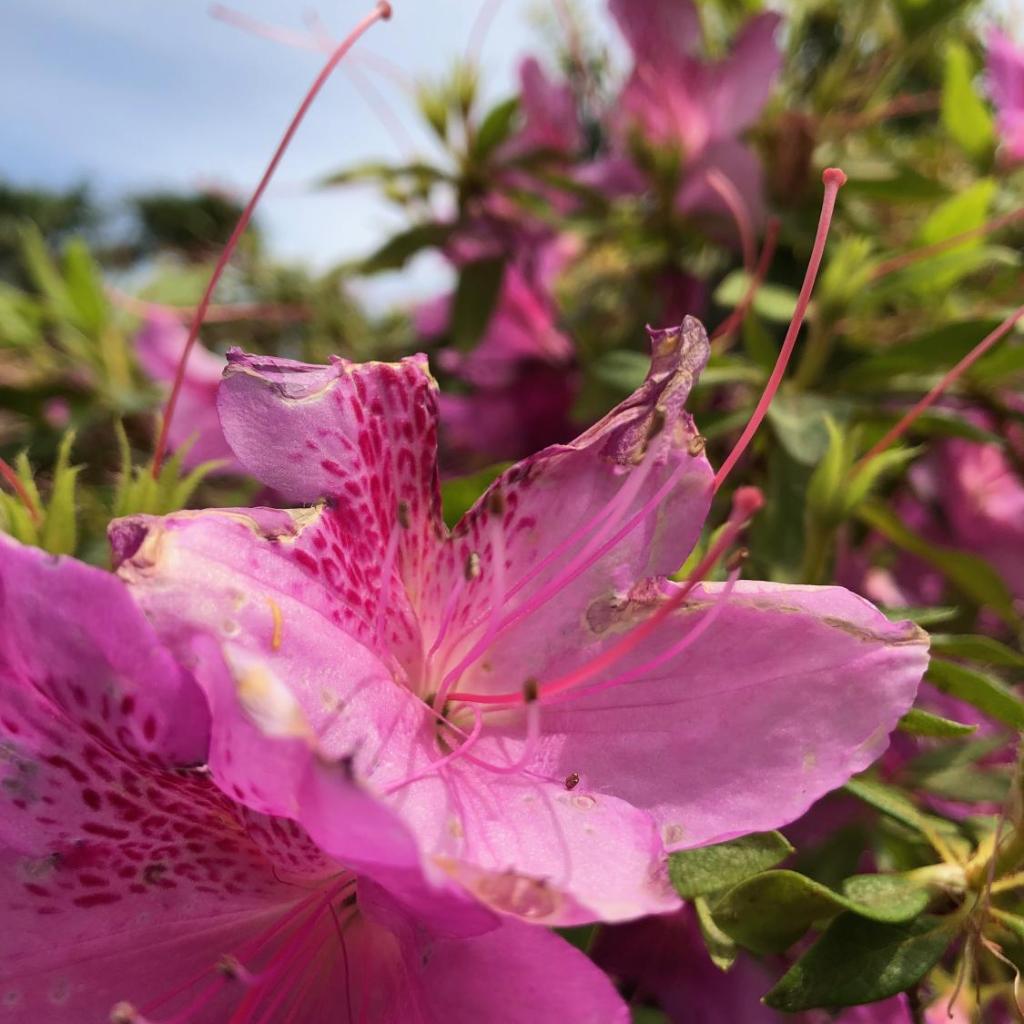 Casa Concerto B&B – Bild