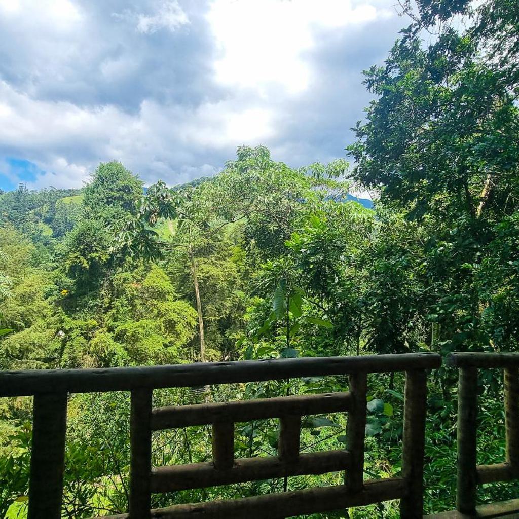 Villa Gatto Chalés - Visconde de Maua — foto 8
