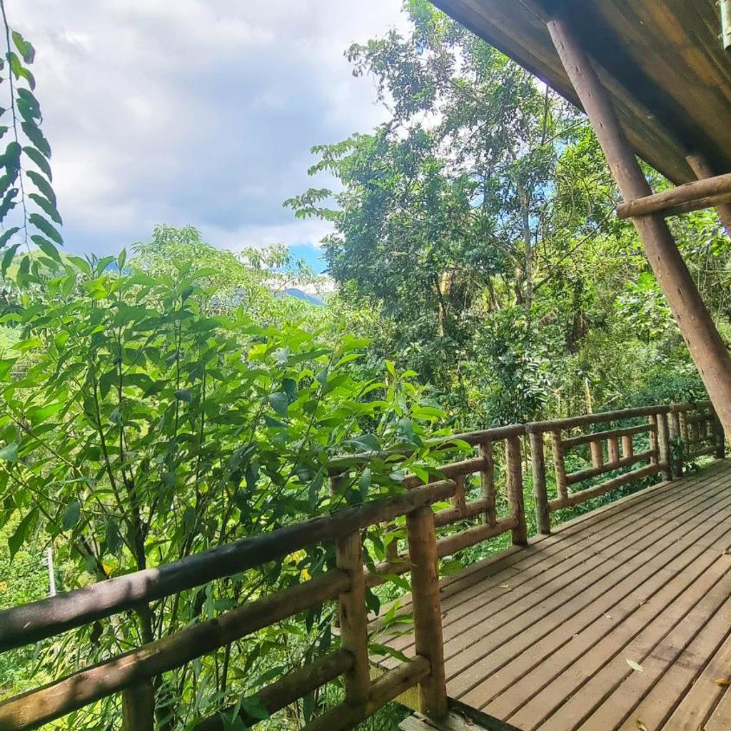 Villa Gatto Chalés - Visconde de Maua — foto 9