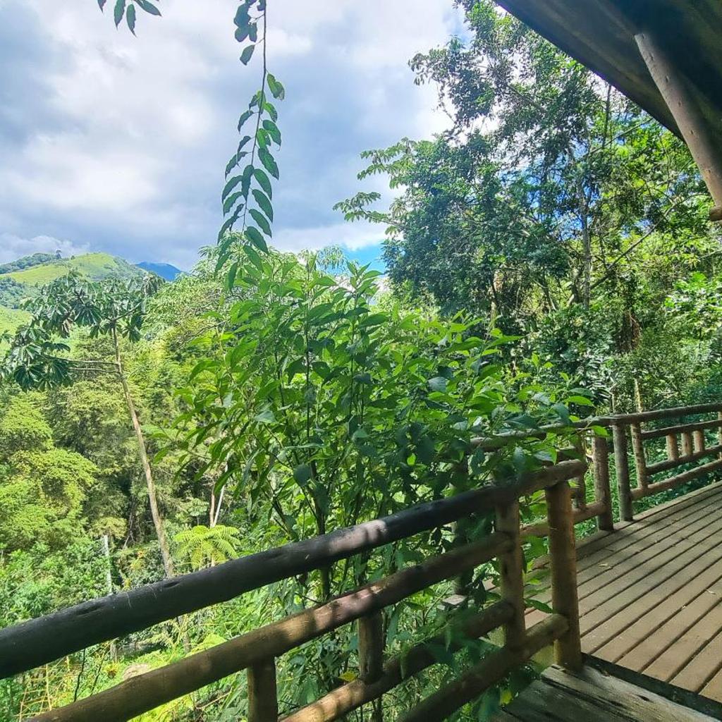 Villa Gatto Chalés - Visconde de Maua — foto 10