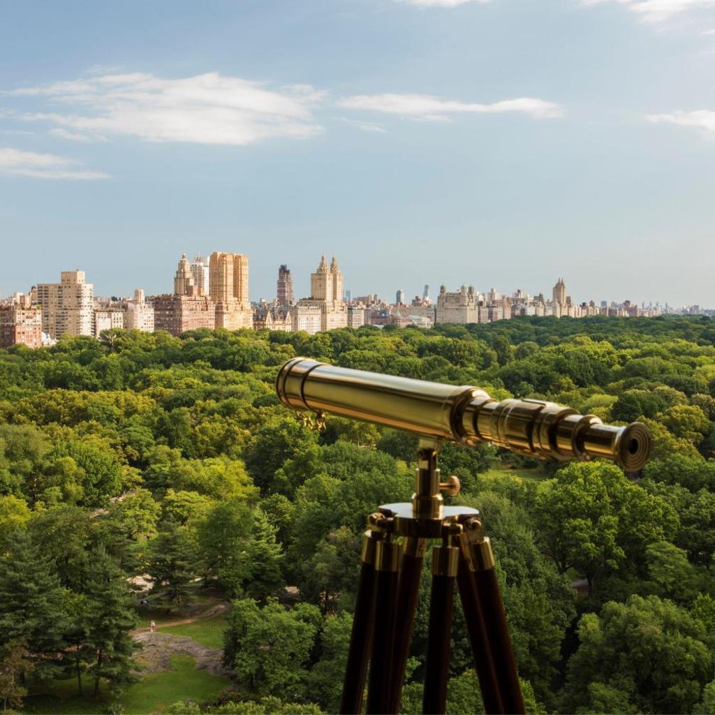 Photograph of The Ritz-Carlton New York, Central Park