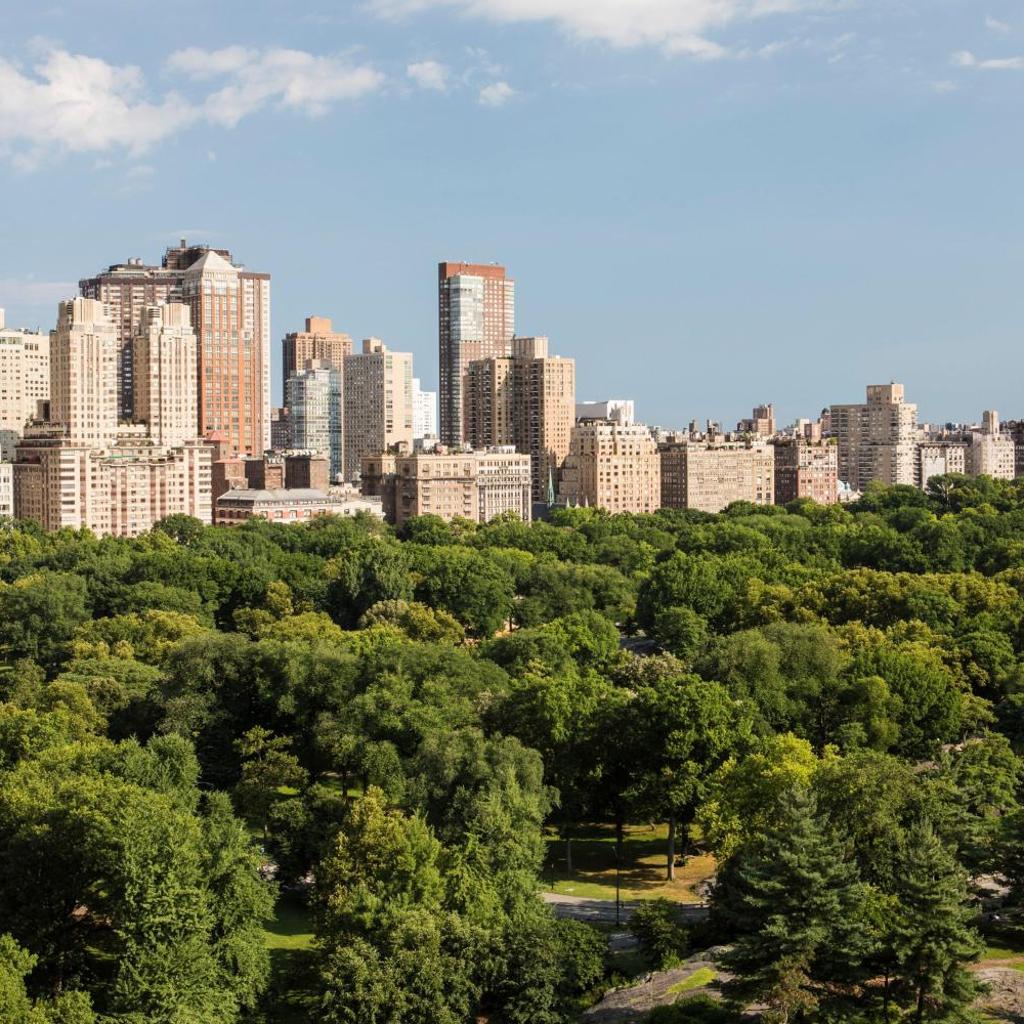 Photograph of The Ritz-Carlton New York, Central Park