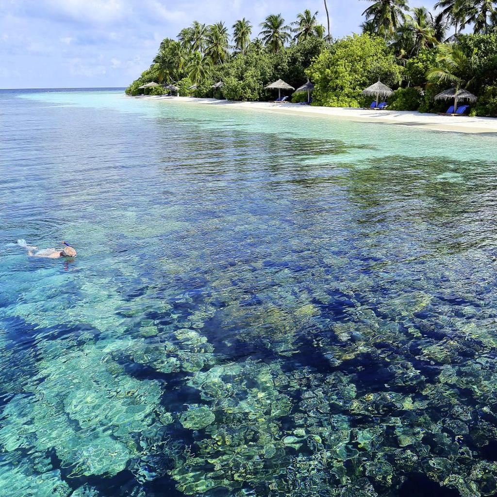 Robinson Maldives, photo 5