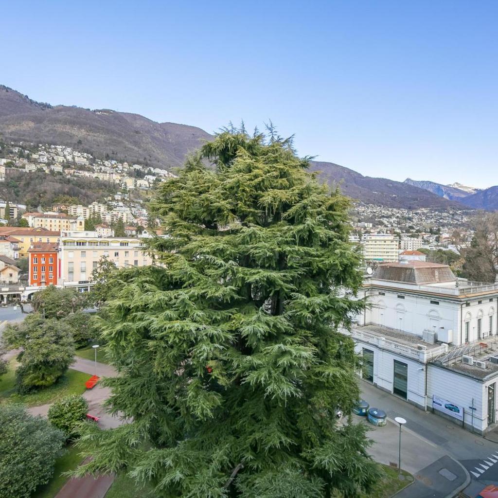 Image 13 - Alta Vista - Happy Rentals
