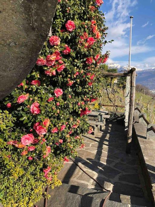 Image 16 - Casa Margherita
