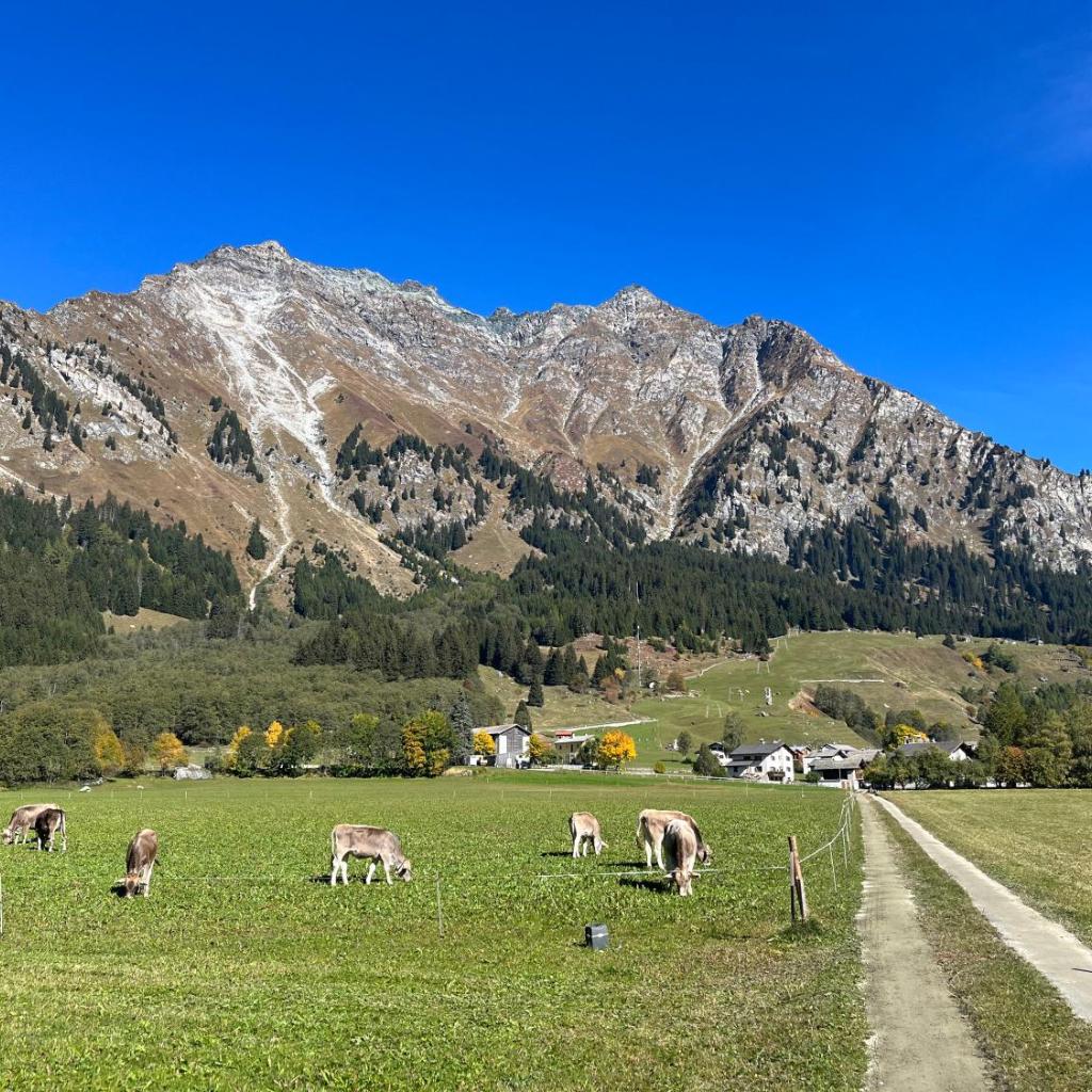 B&B Cad'Stampa, Casaccia – Bild