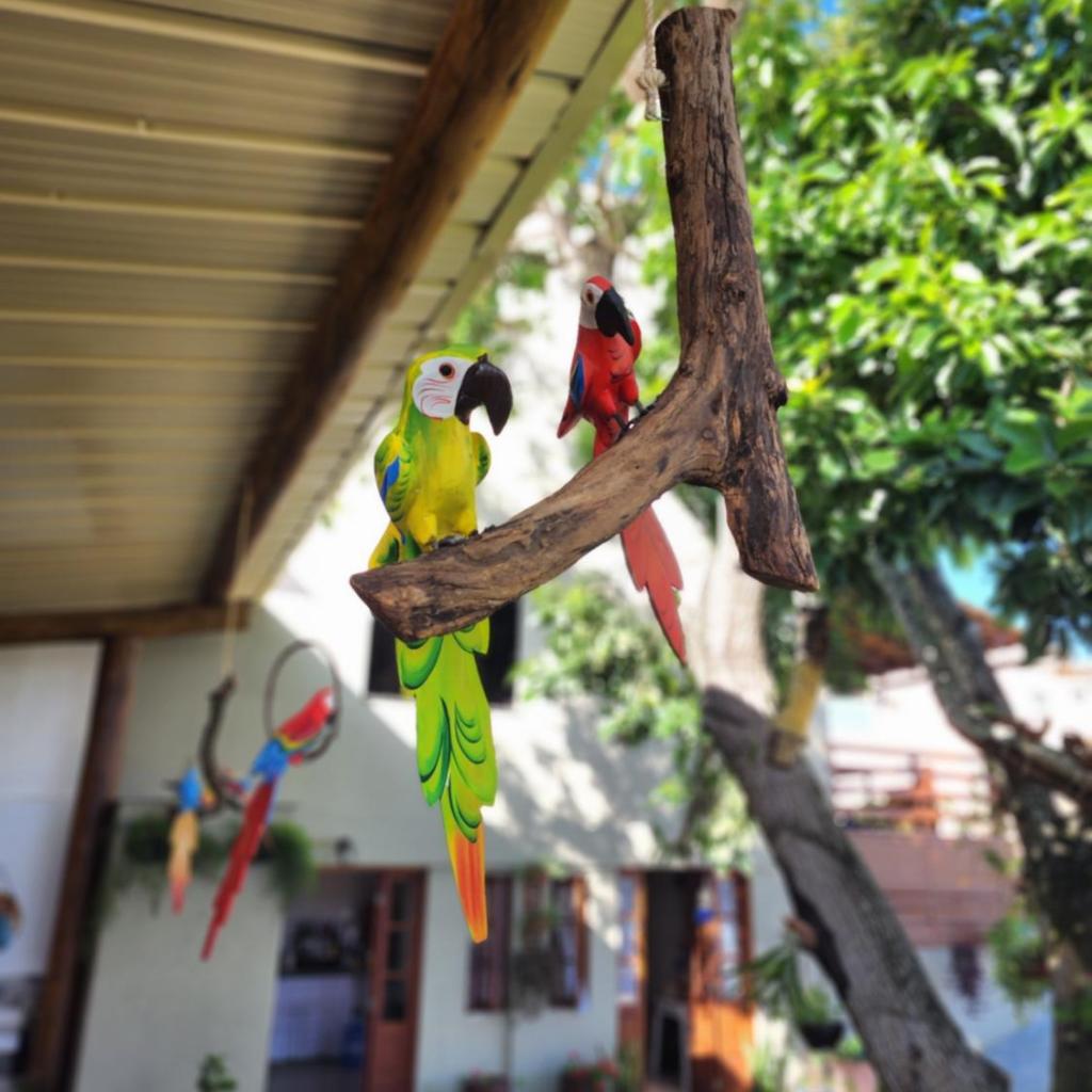 Pousada Canto do Sabiá — foto 8