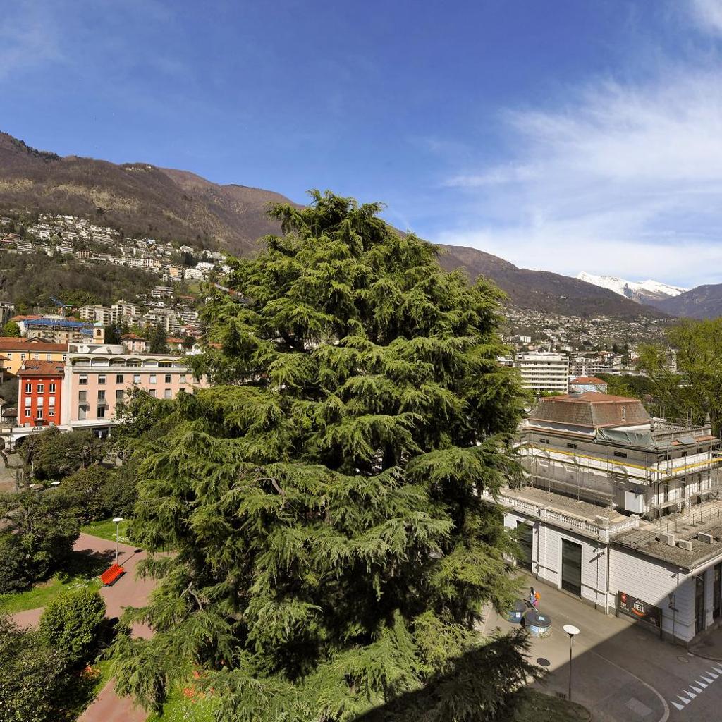 Image 11 - Alta Vista - Happy Rentals