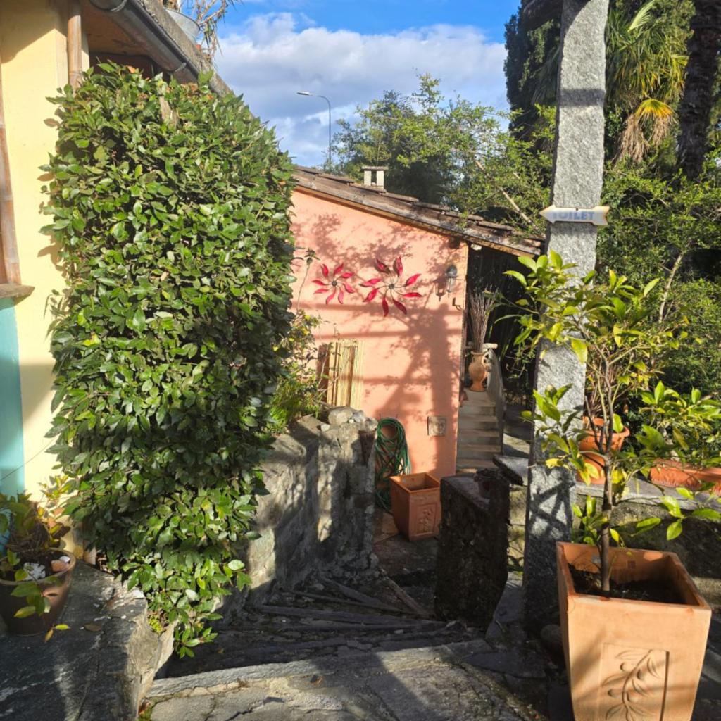 Pensione Olanda – Bild