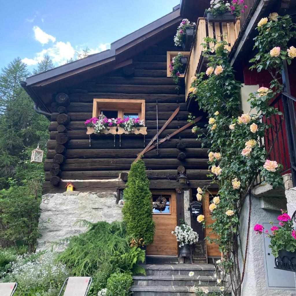"CHALET dei FIORI" room & apartment – Bild