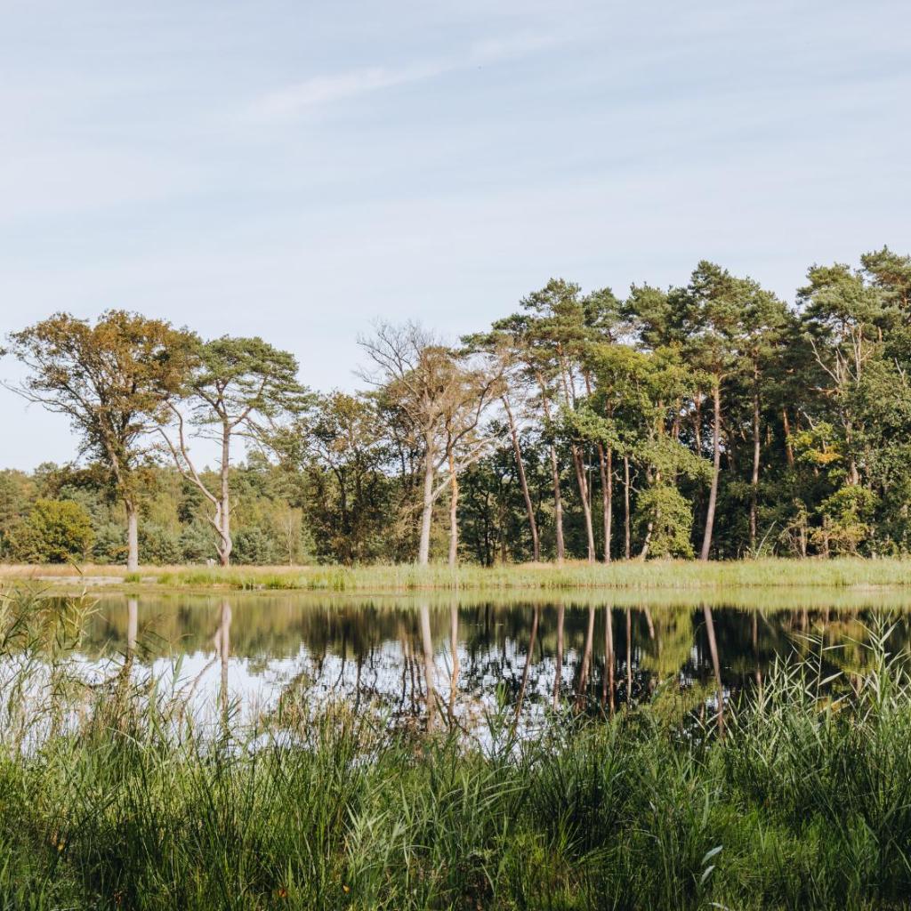 La Butte aux Bois a Small Luxury Hotel of the World — 