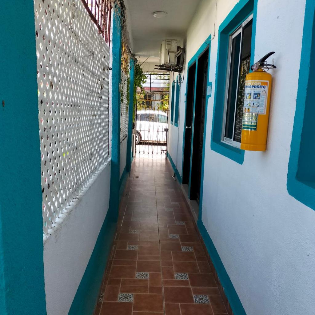 Foto 6