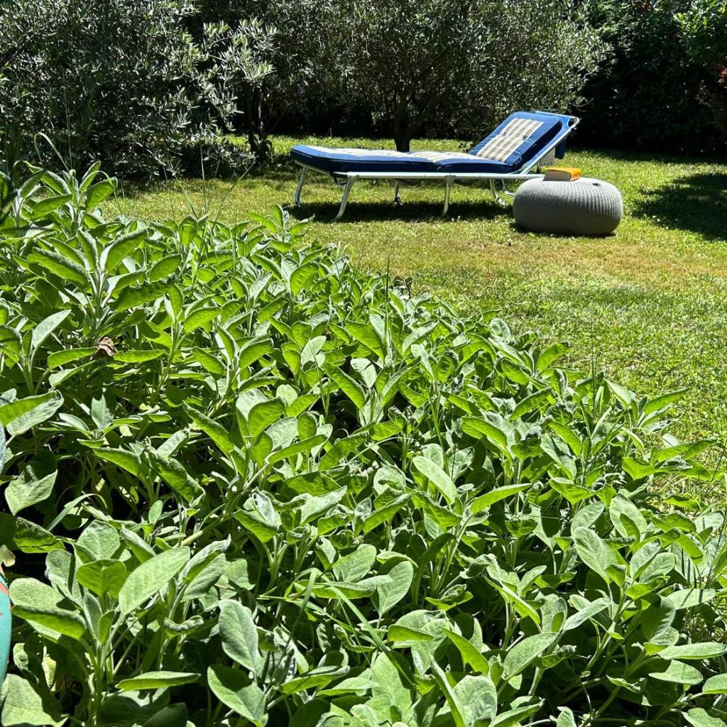 Golden Hill - Big rooms with Kitchen and Garden – Bild