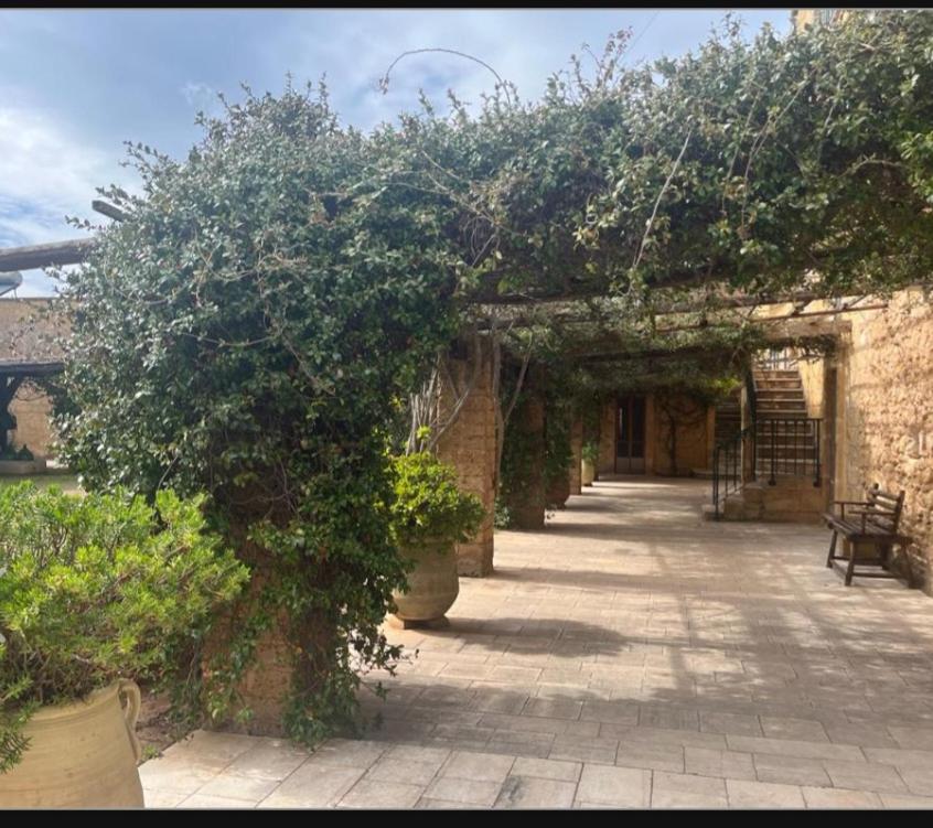 Masseria Provenzani Resort photo