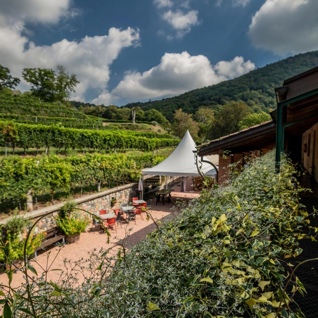 Wine & Art Relais Vallombrosa – Bild