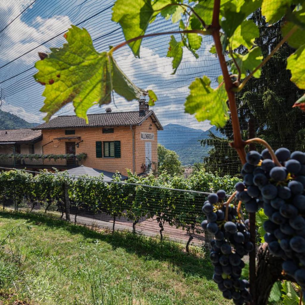 Wine & Art Relais Vallombrosa – Bild