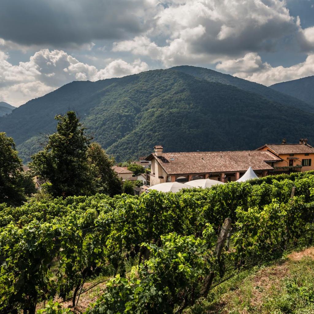 Wine & Art Relais Vallombrosa – Bild