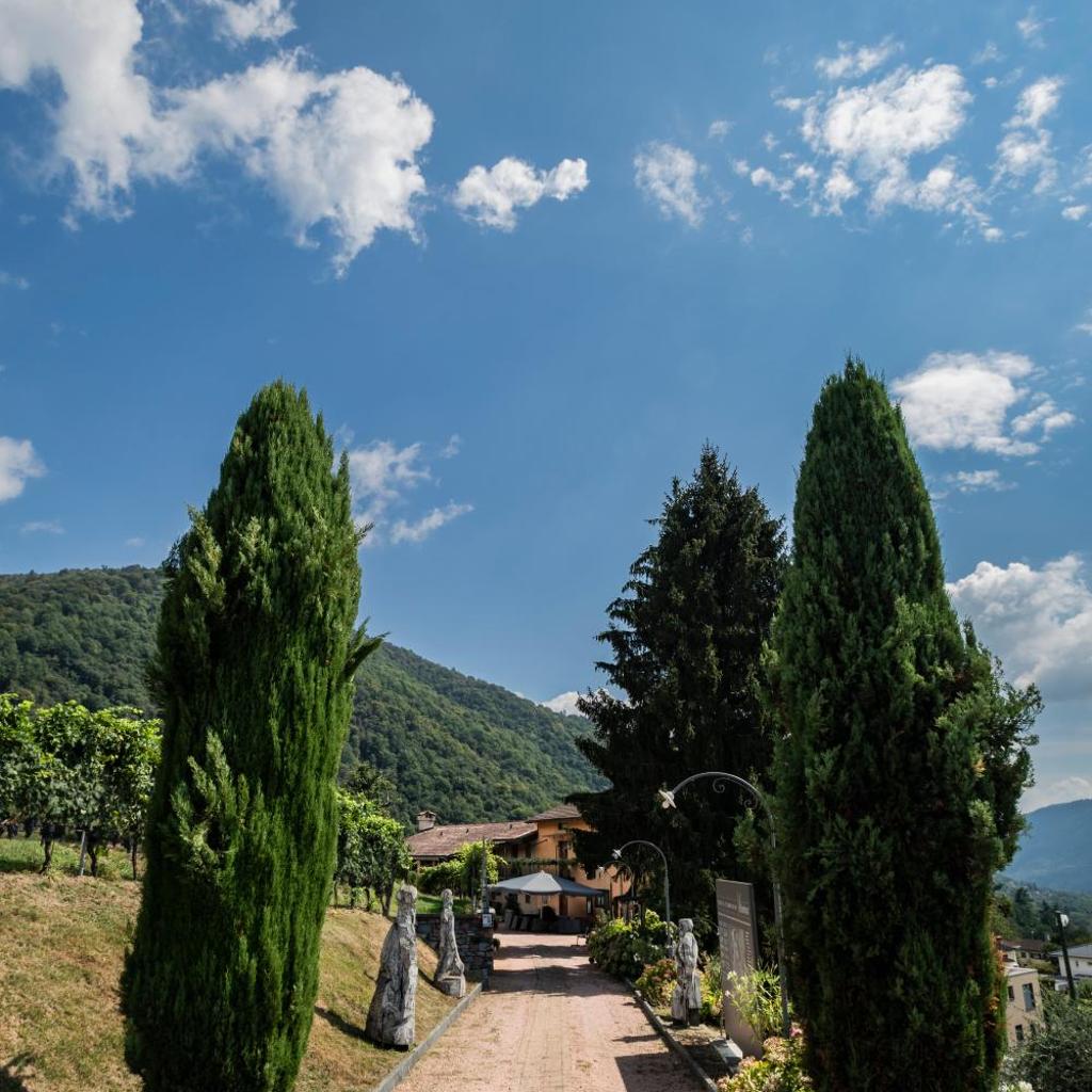 Wine & Art Relais Vallombrosa – Bild