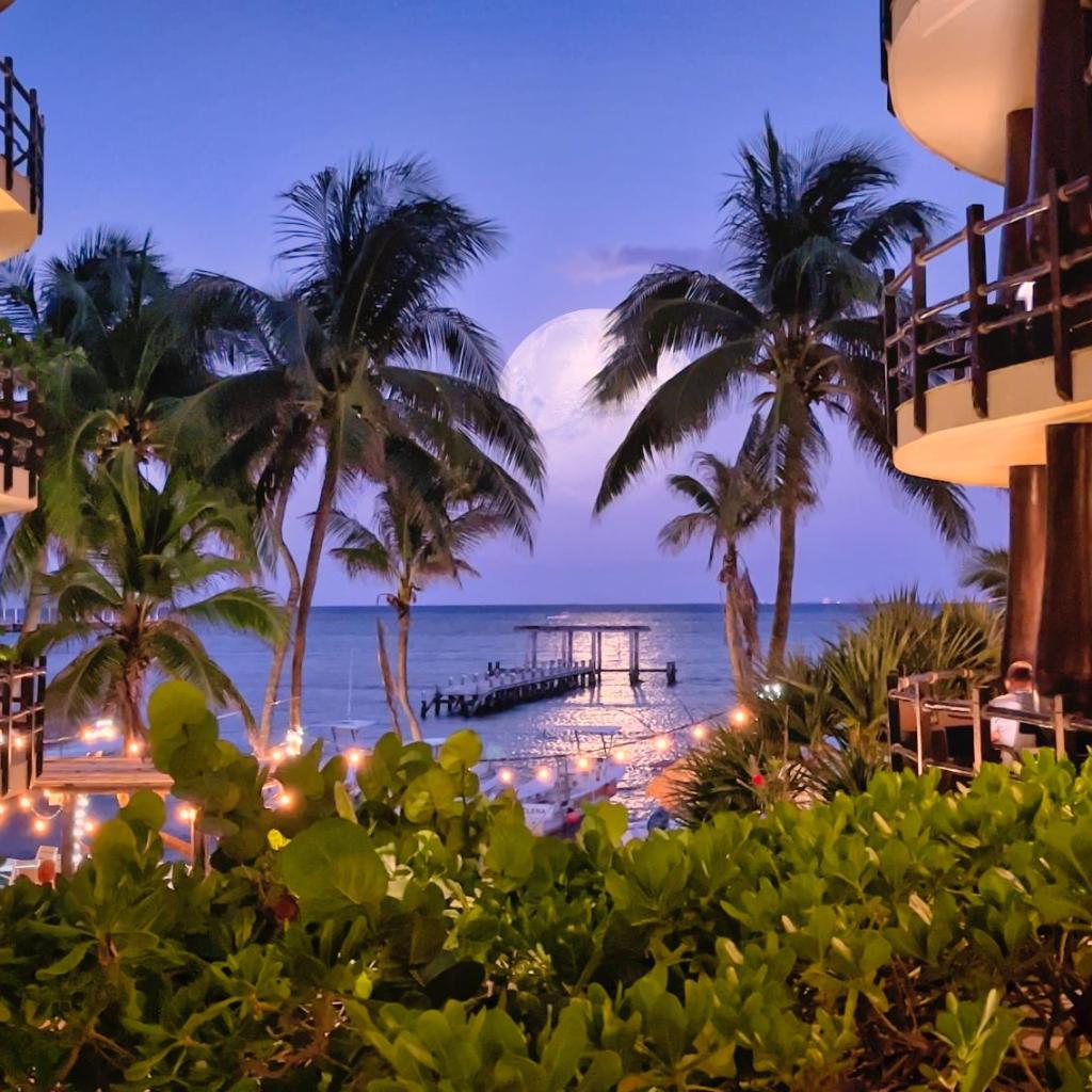 Hotel thumbnail 4