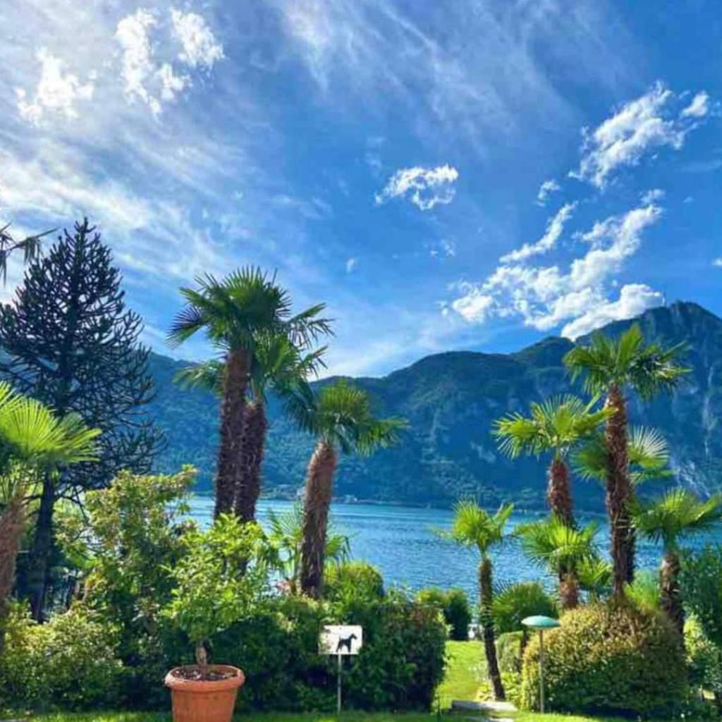 LuganoLake – Bild