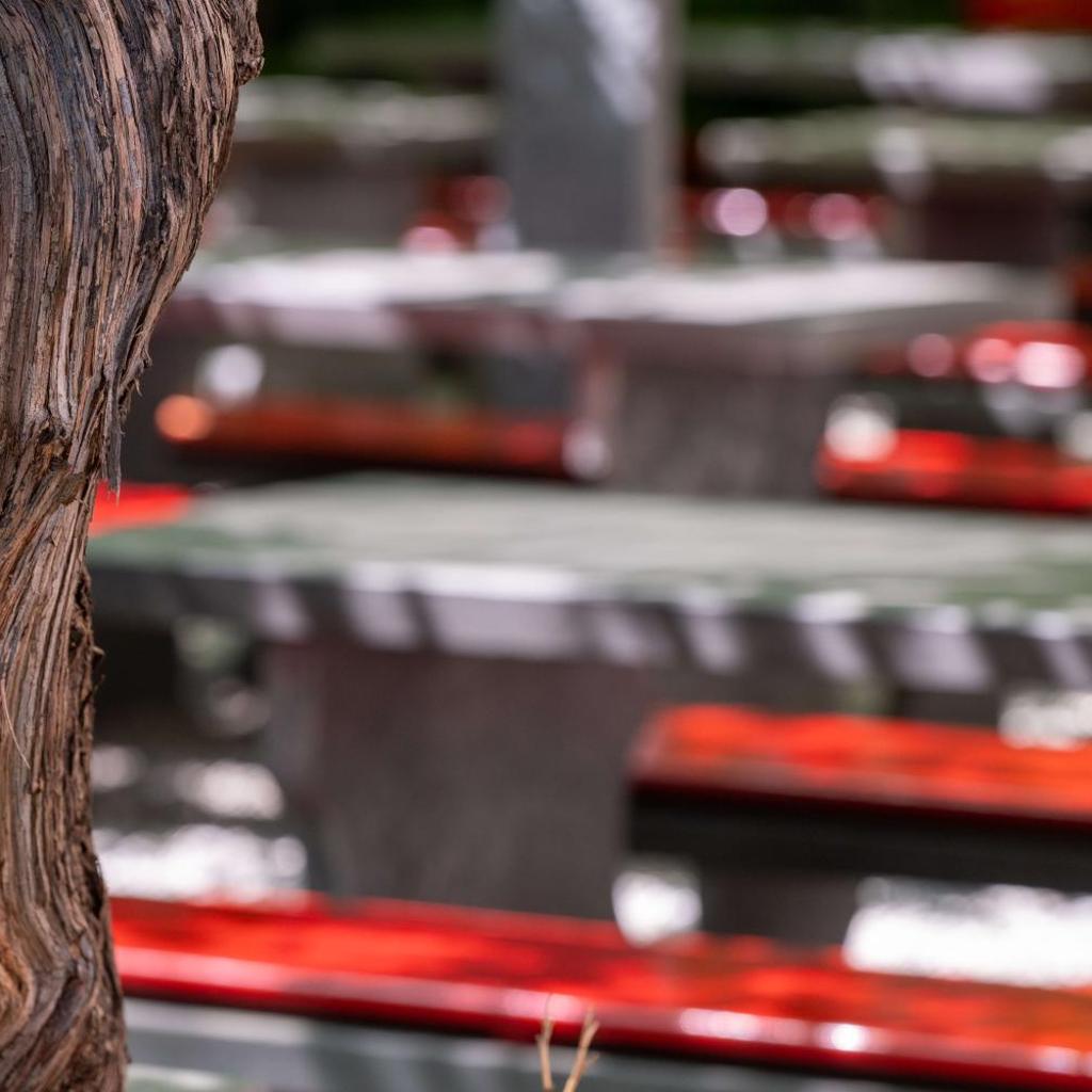 Albergo Ristorante Centovalli – Bild