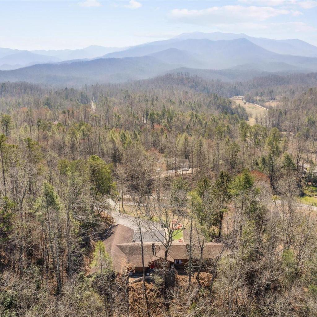 Photograph of Buckhorn Lodge #3115