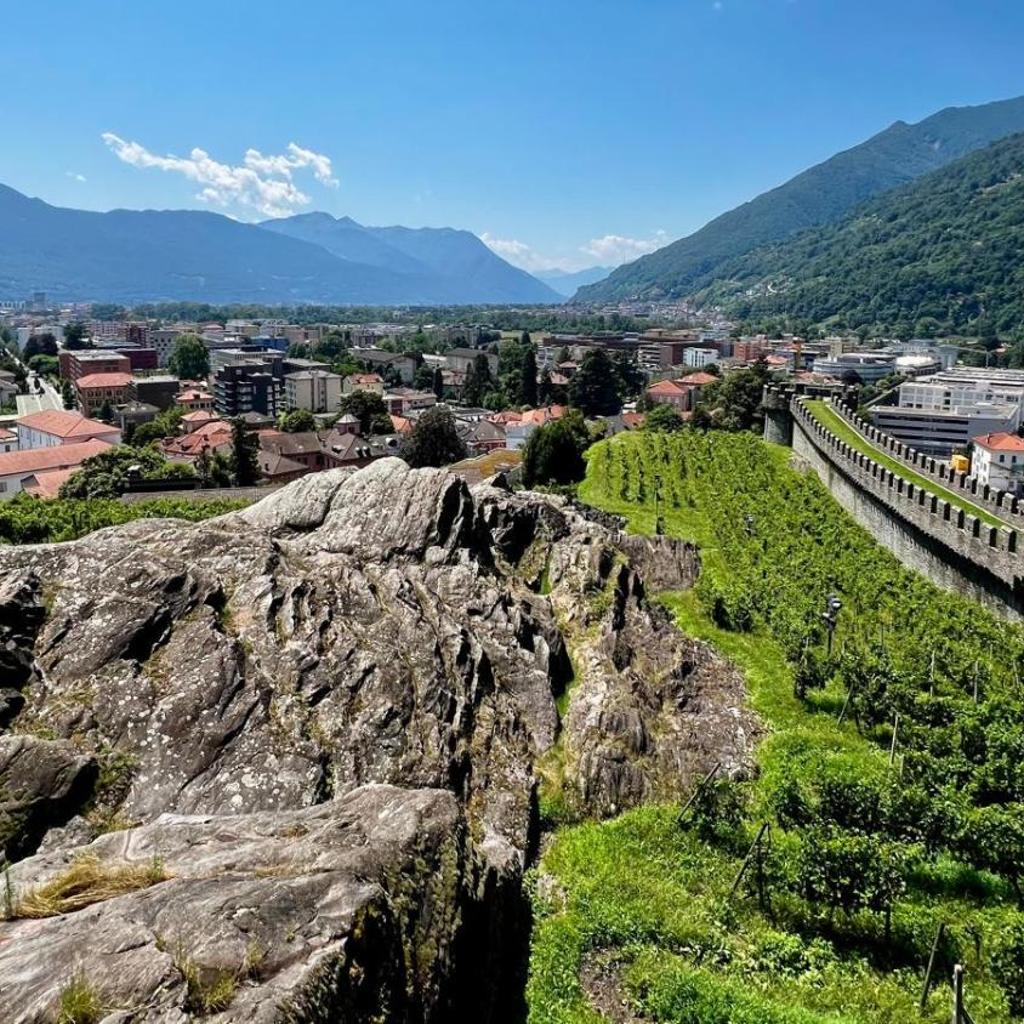 Image 34 - Violet-Sky Bellinzona