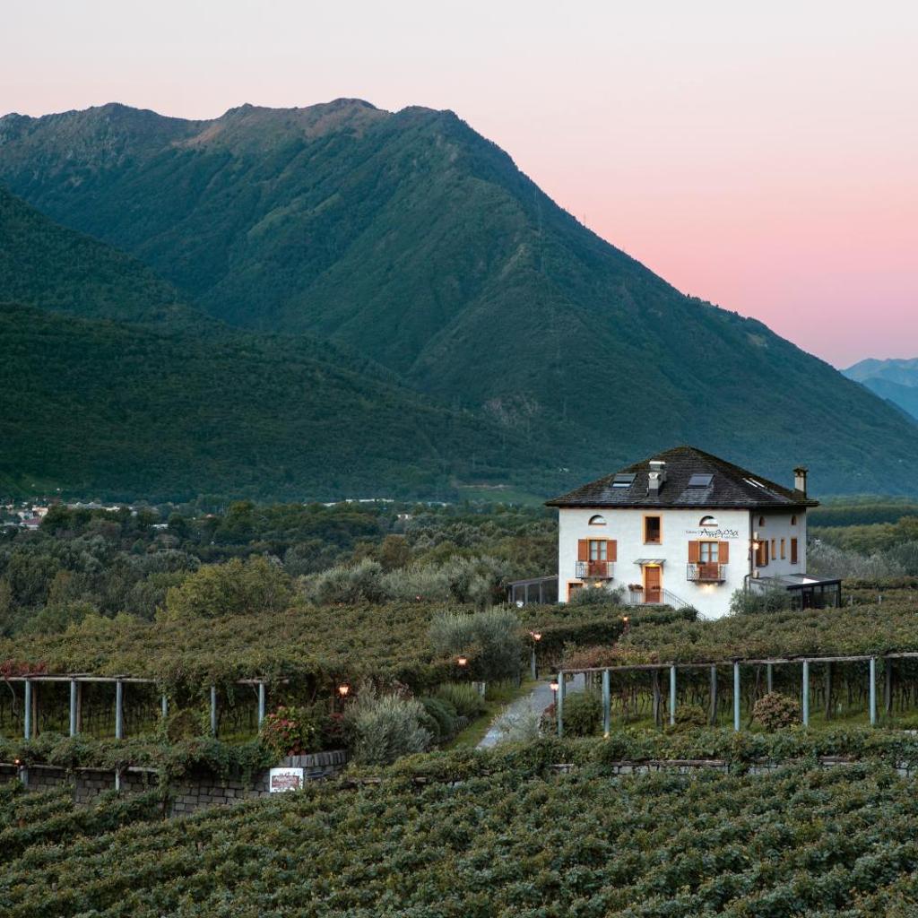 Image 88 - Agriturismo Fattoria l'Amorosa