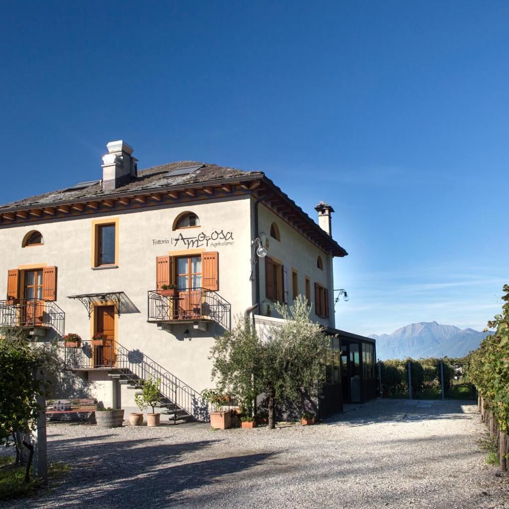 Image 82 - Agriturismo Fattoria l'Amorosa