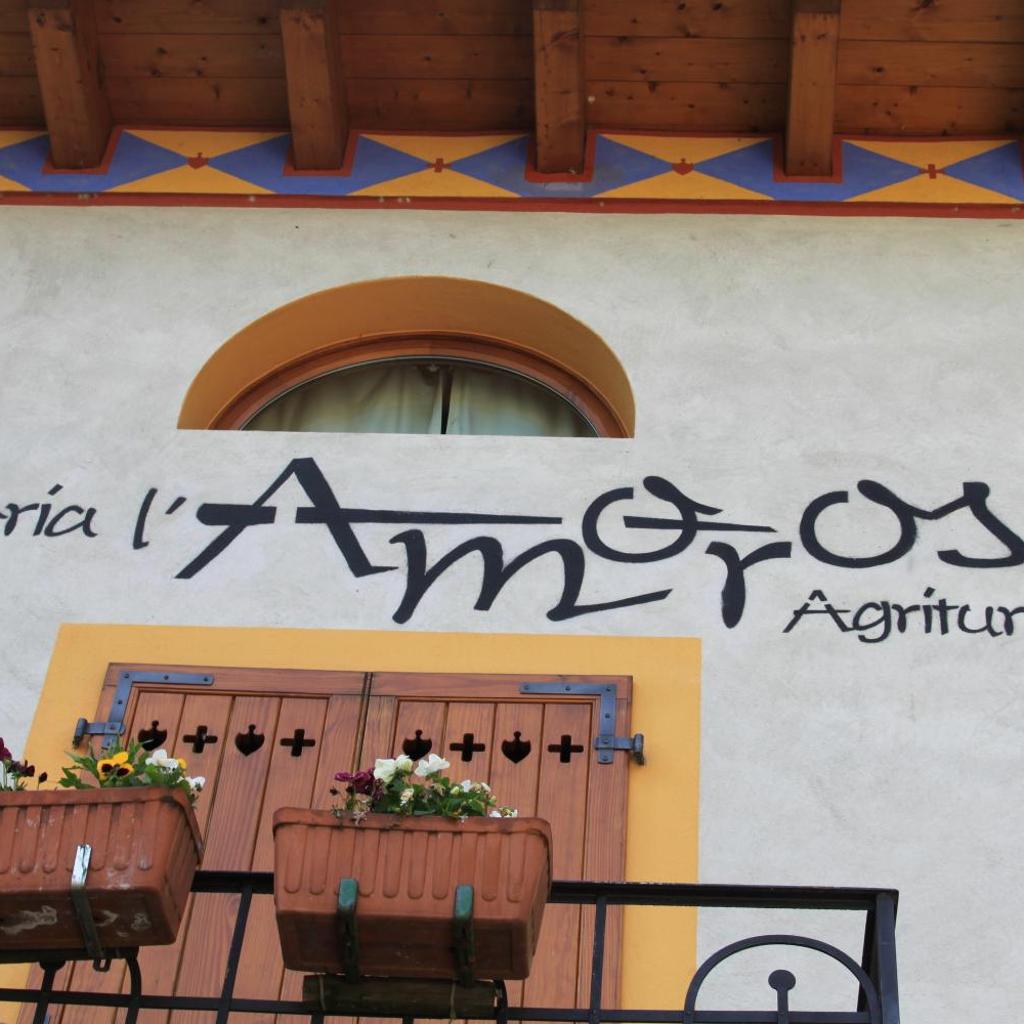 Image 16 - Agriturismo Fattoria l'Amorosa