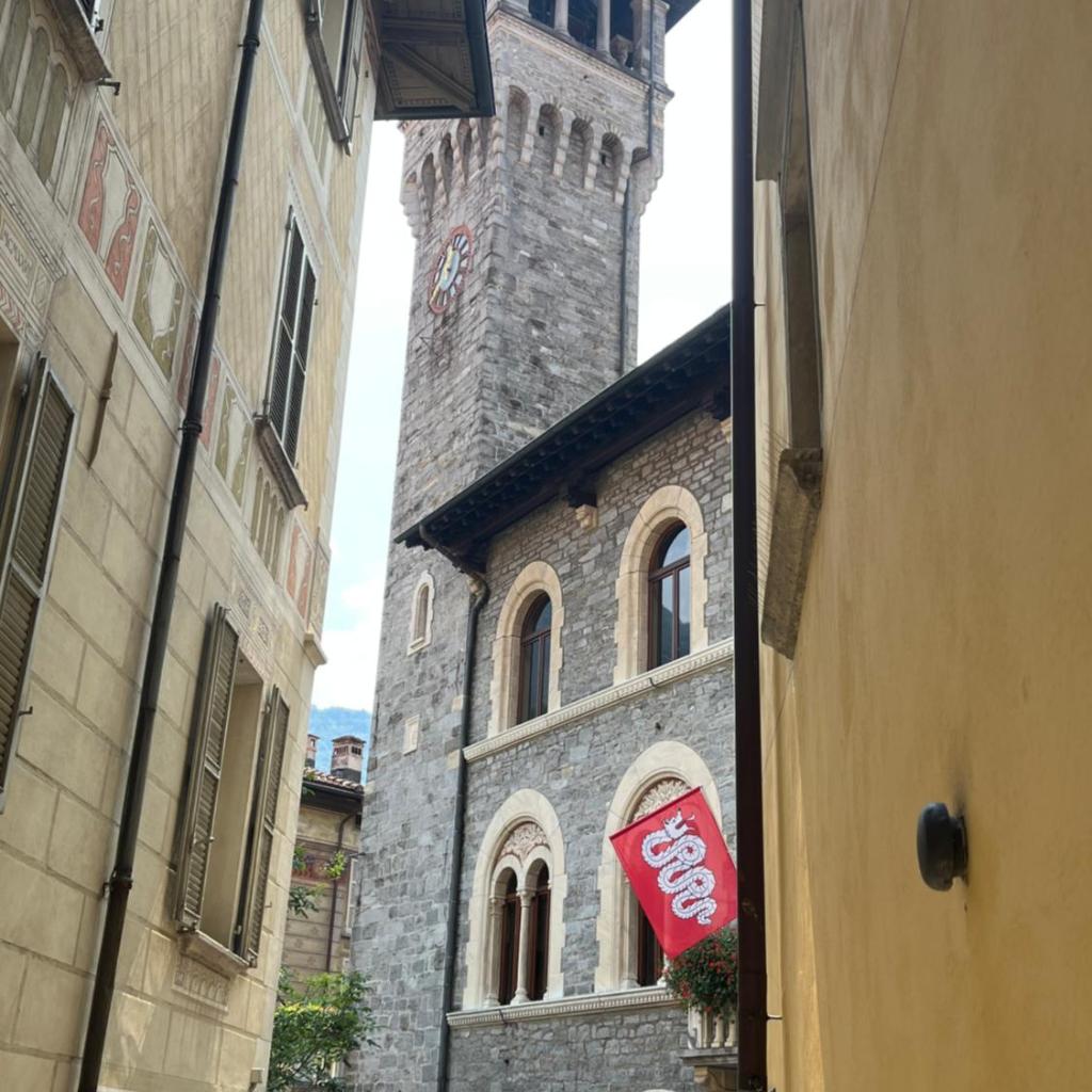 Image 31 - Violet-Sky Bellinzona