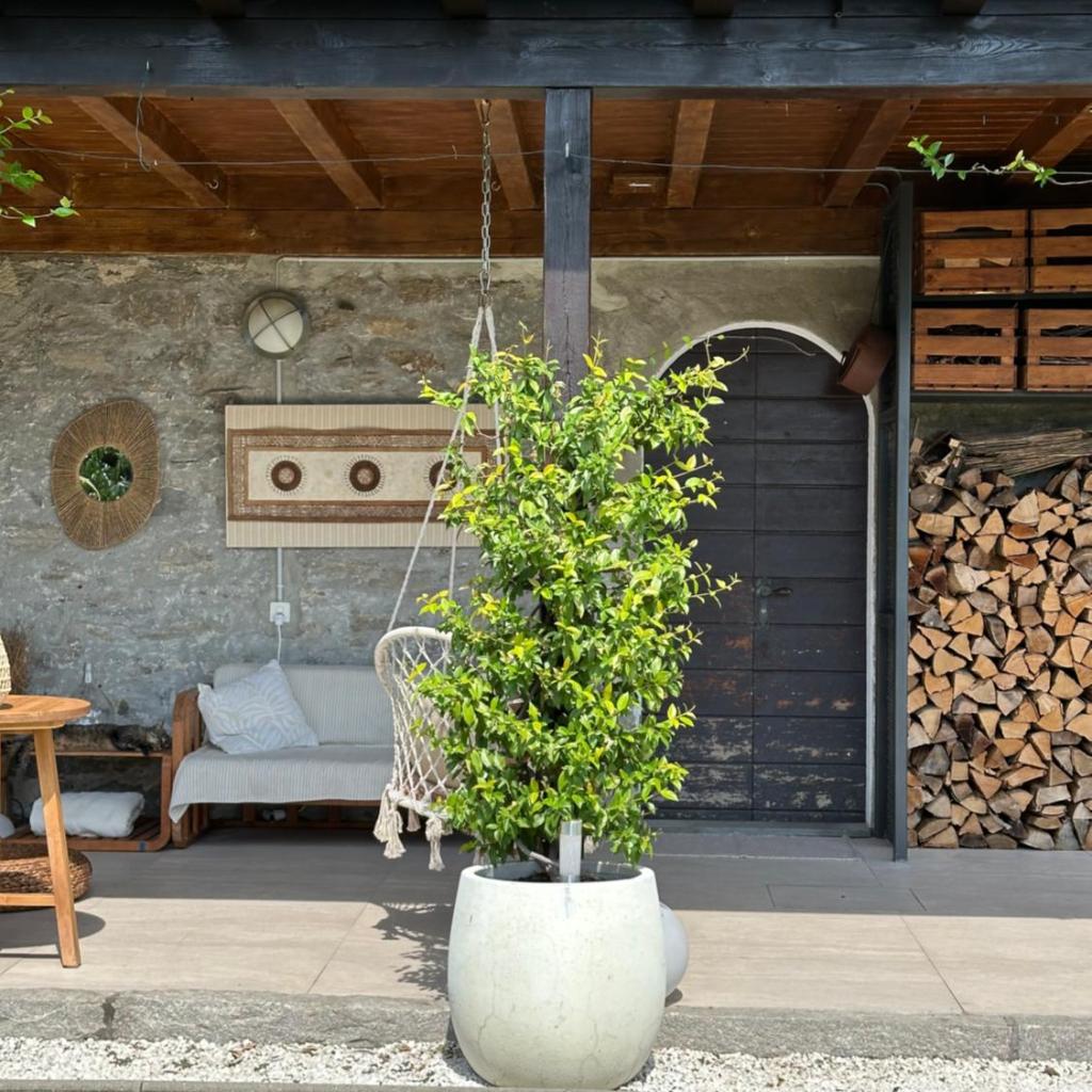 Image 22 - Appartamento Casa Sole