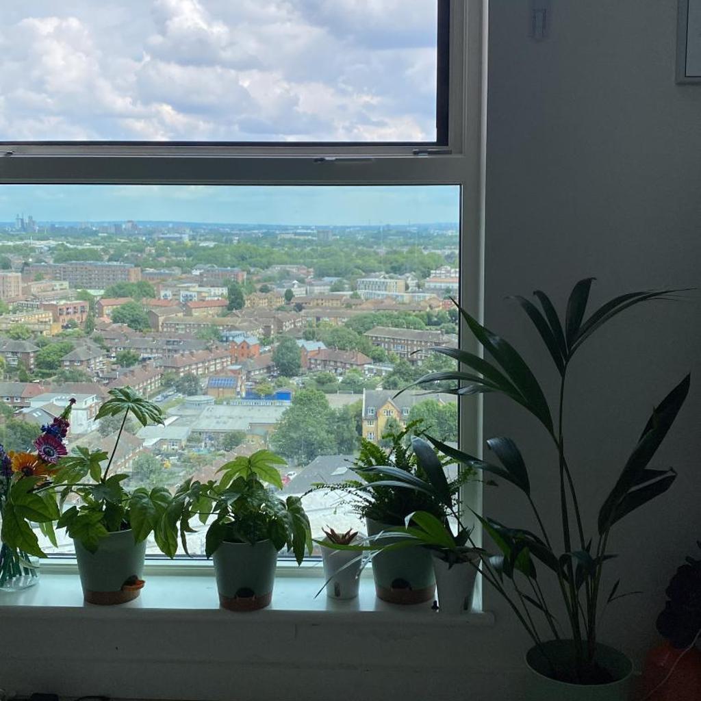 Photograph of Cozy Flat with Stunning Views