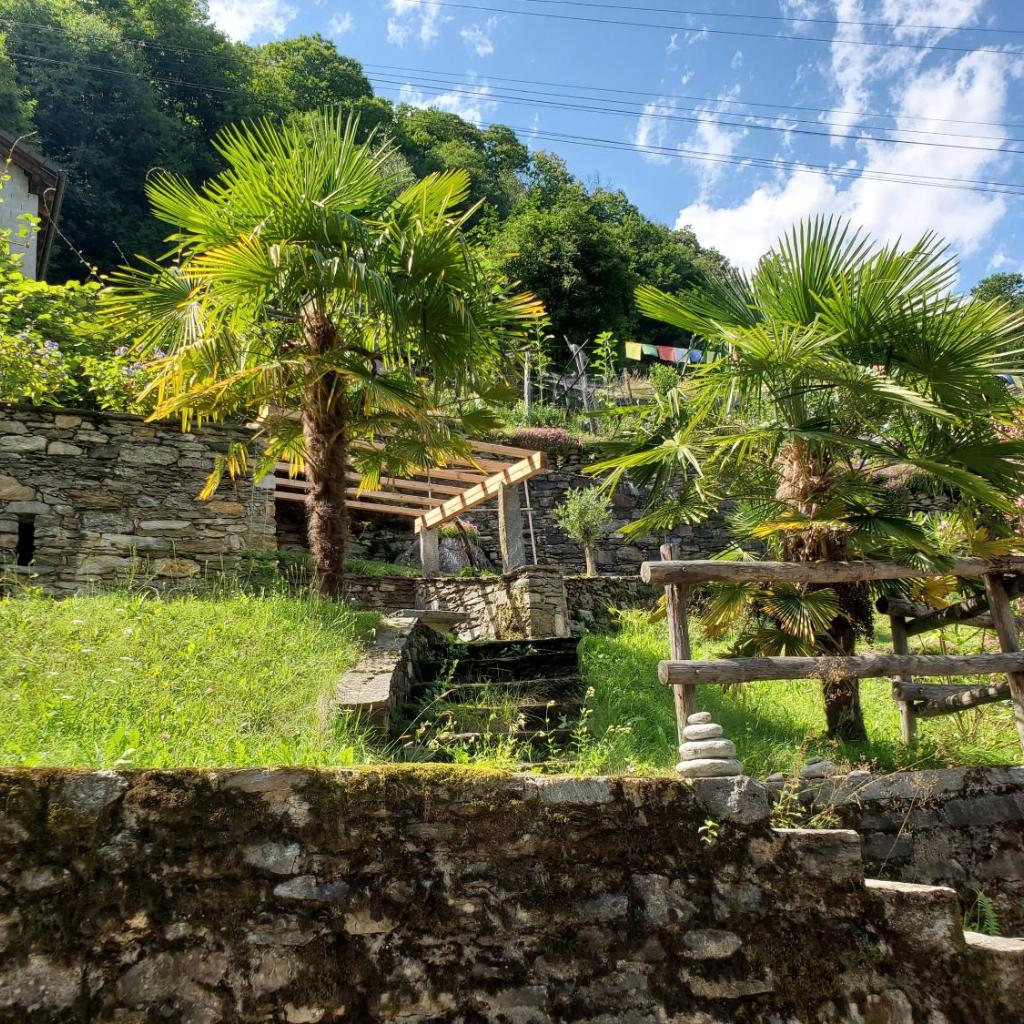 Image 8 - Oasis di Riposa