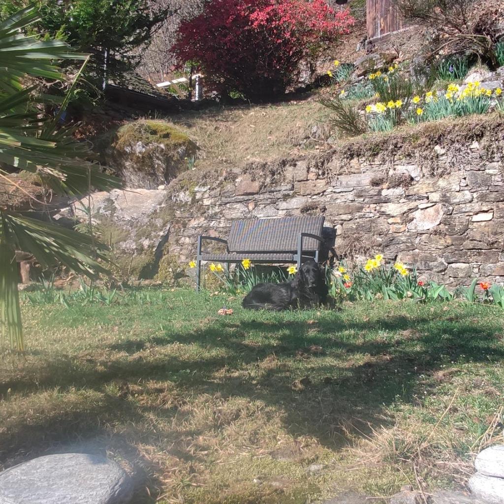 Image 11 - Oasis di Riposa