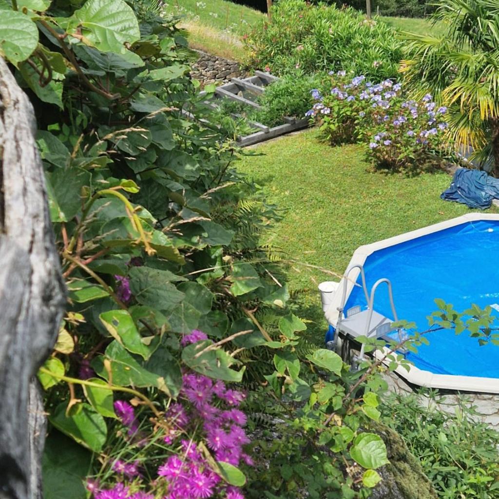 Image 9 - Oasis di Riposa