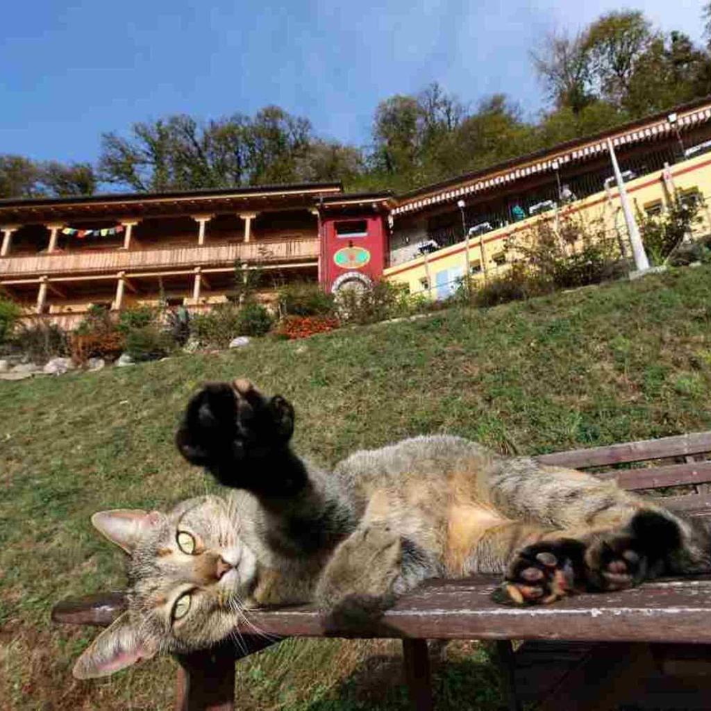 Eco Hotel Locanda del Giglio – Bild