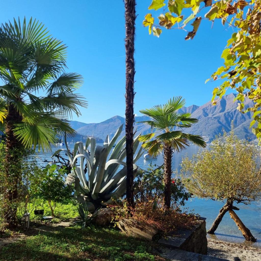 Image 35 - Casa Andrea Chefétage by Fewotessin