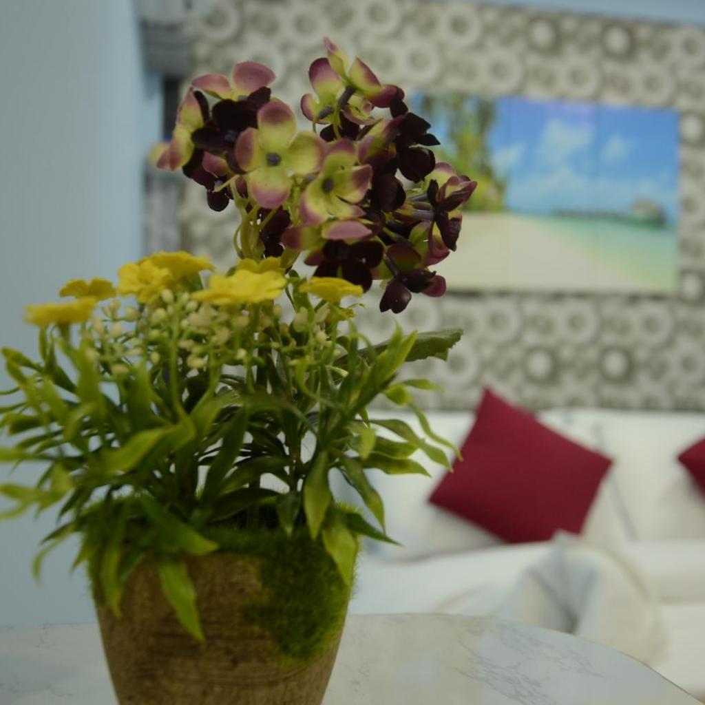 Isle Inn Guesthouse, photo 3