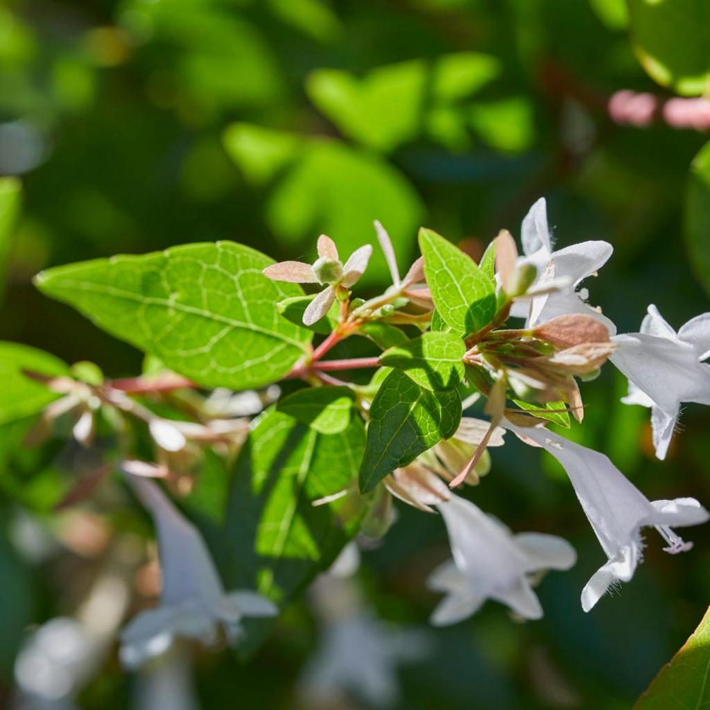 Miniatura del hotel 20