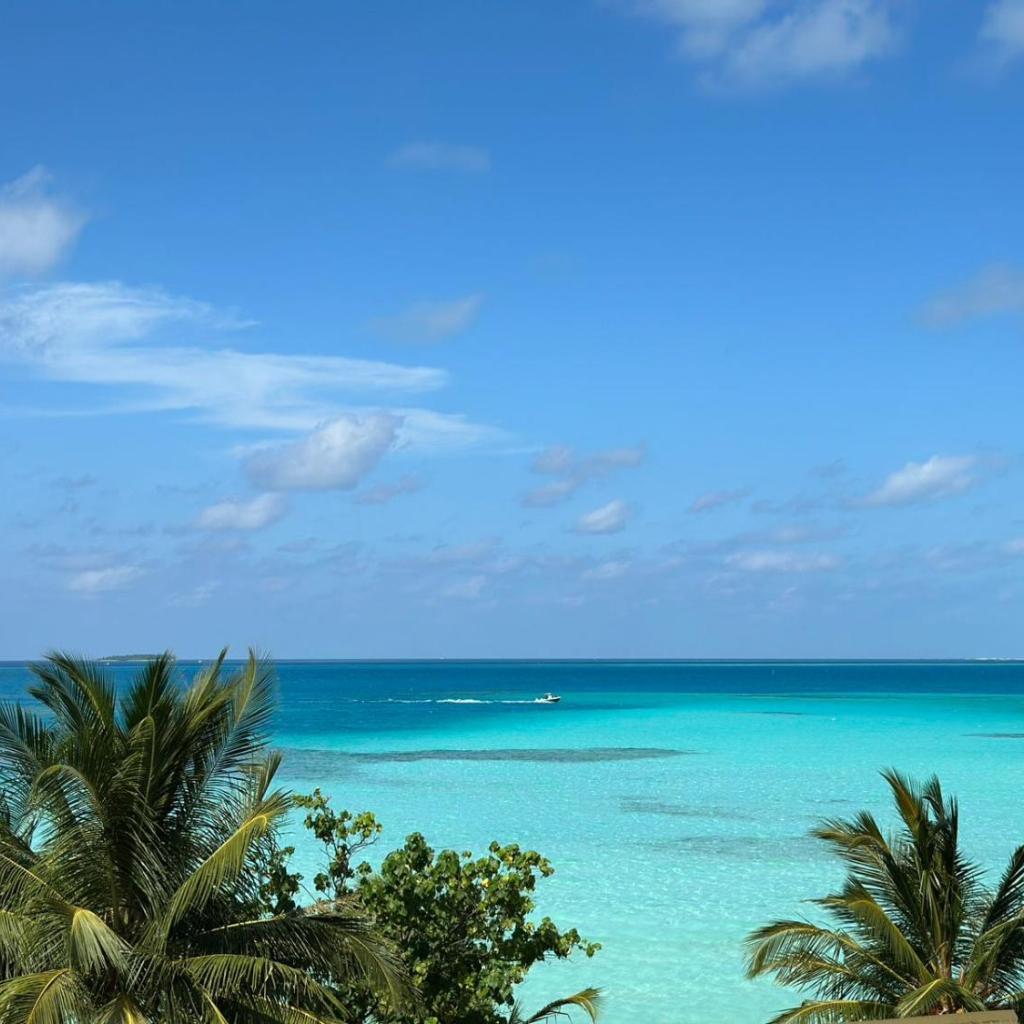 Athiri Residence Dhiffushi, photo 4