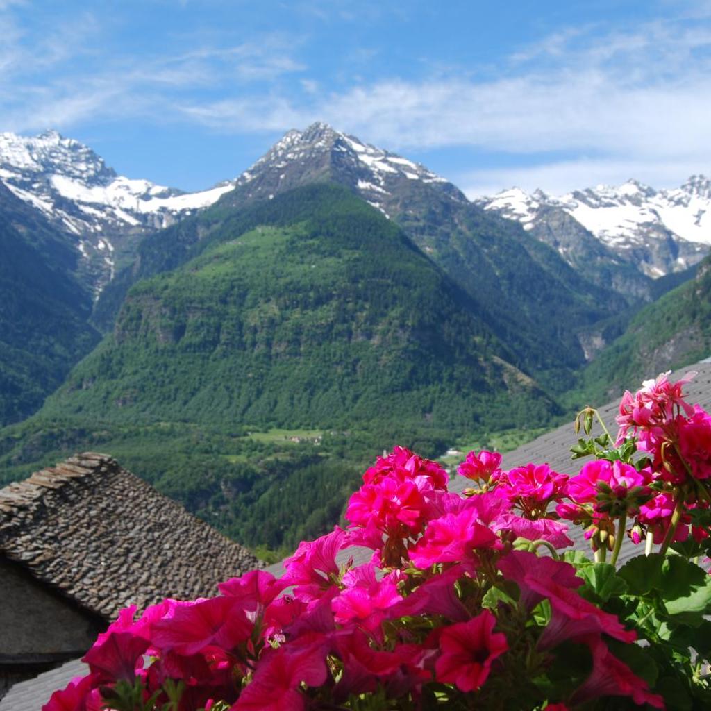 Osteria Anzonico – Bild