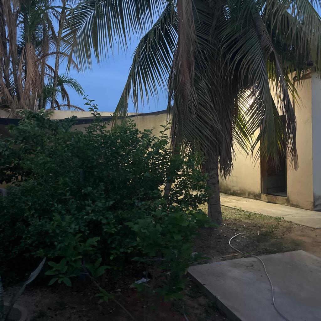 Meu cantinho 3 — foto 3