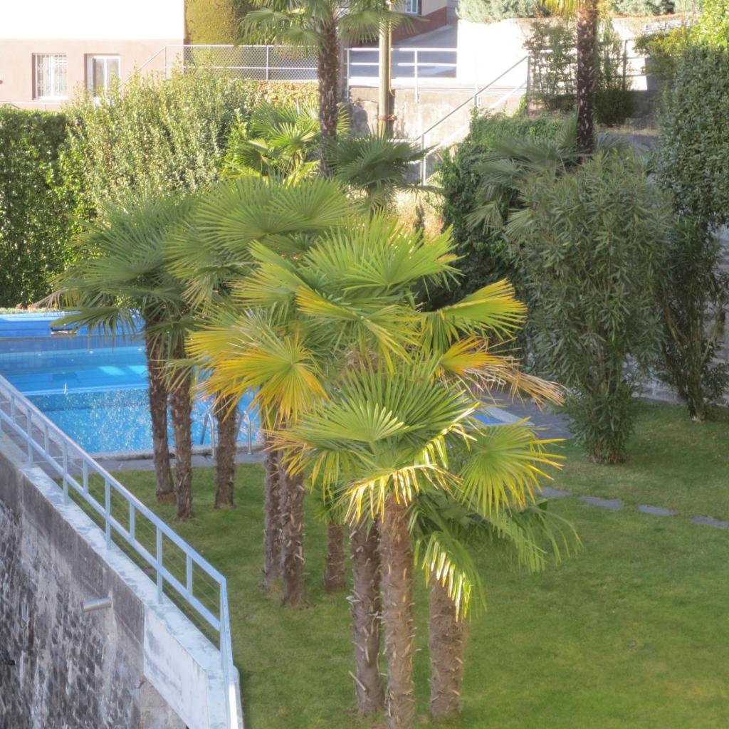 Image 19 - Casa Rabissale