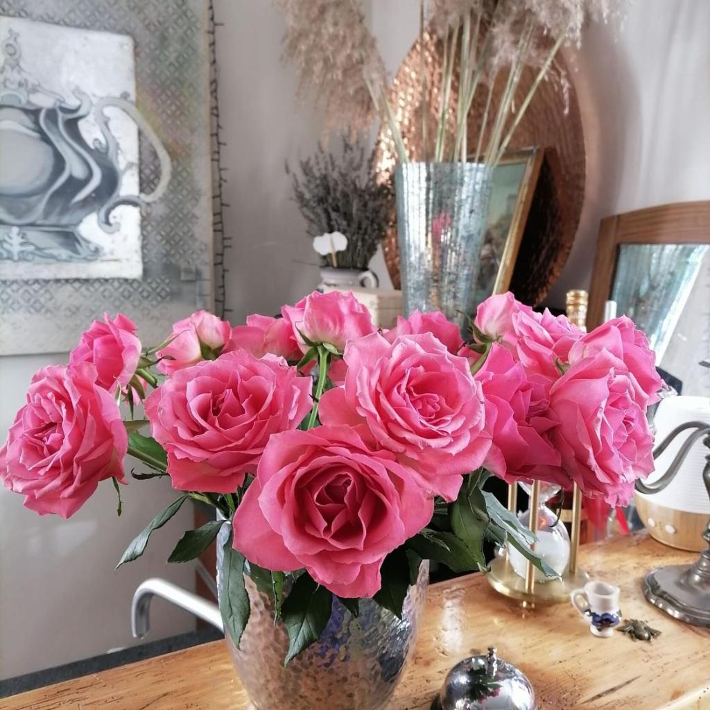 CASA BELGERI - Bed & Breakfast – Bild