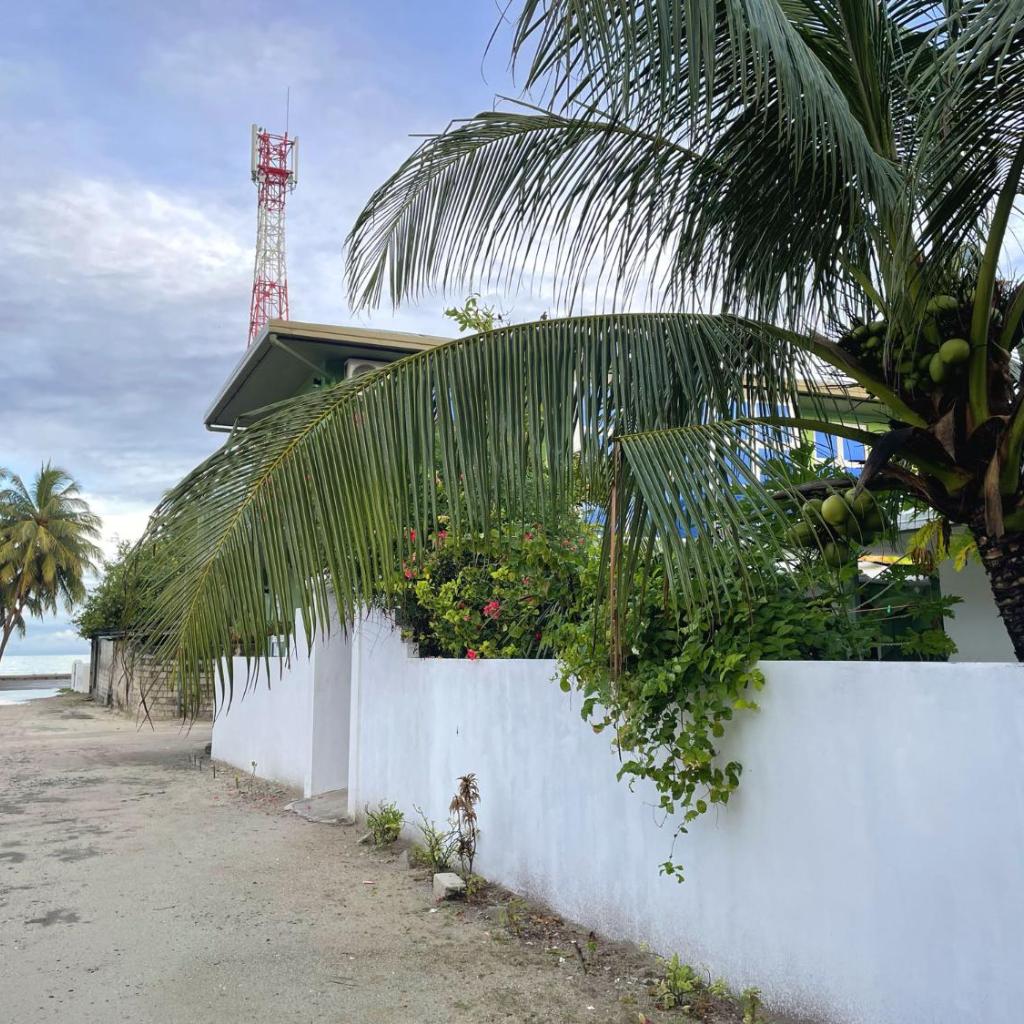 Calm Beach Inn, photo 2