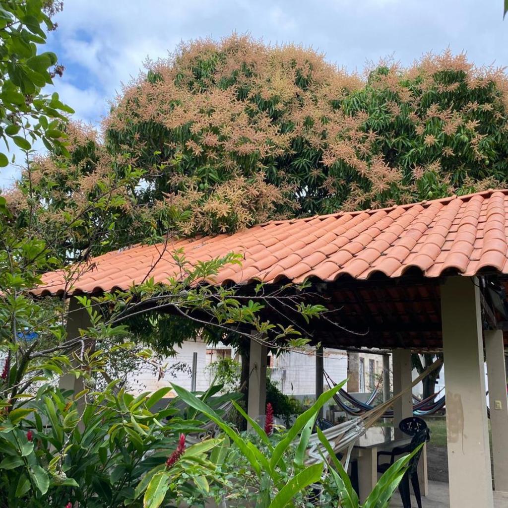 Casa de Japaratinga — foto 7