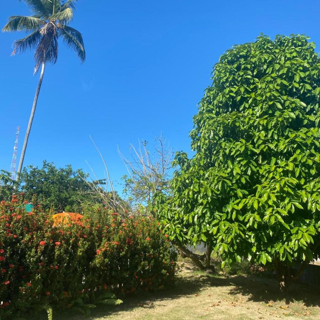 Casa de Japaratinga — foto 12