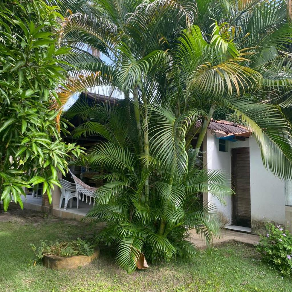 Casa de Japaratinga — foto 9